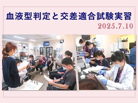 説明会情報