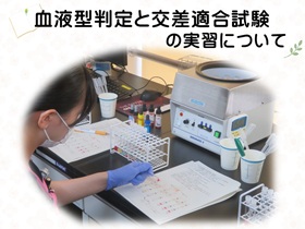 説明会情報
